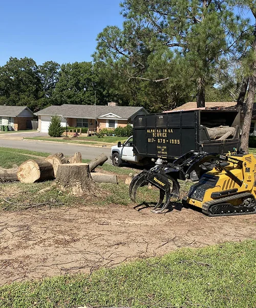 Tree Removal in Pantego 